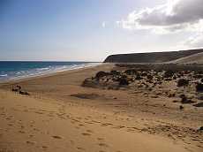 Playa de Sotavento,Fuerteventura,Kanrsk ostrovy,Canary Islands