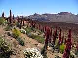 Las Canadas del Teide,Tenerife,Kanrsk ostrovy,Canary Islands