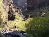 Masca,trek,Tenerife,Kanrsk ostrovy,Canary Islands