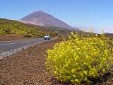 Pico del Teide,Tenerife,Kanrsk ostrovy,Canary Islands