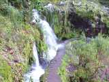 Ribeiro Frio,Portela,vodopd,Madeira,Portugalsko