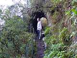 Ribeiro Frio,Portela,tunel,Madeira,Portugalsko