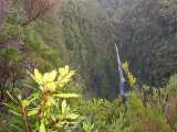 Queimadas,Caldeirao Verde,Madeira,Portugalsko